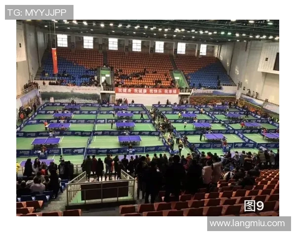 成都乒乓球队转型之路的挑战与机遇全景报道